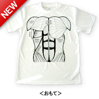 Anatomyシリーズ 筋肉Tシャツ・ホワイト・おもて